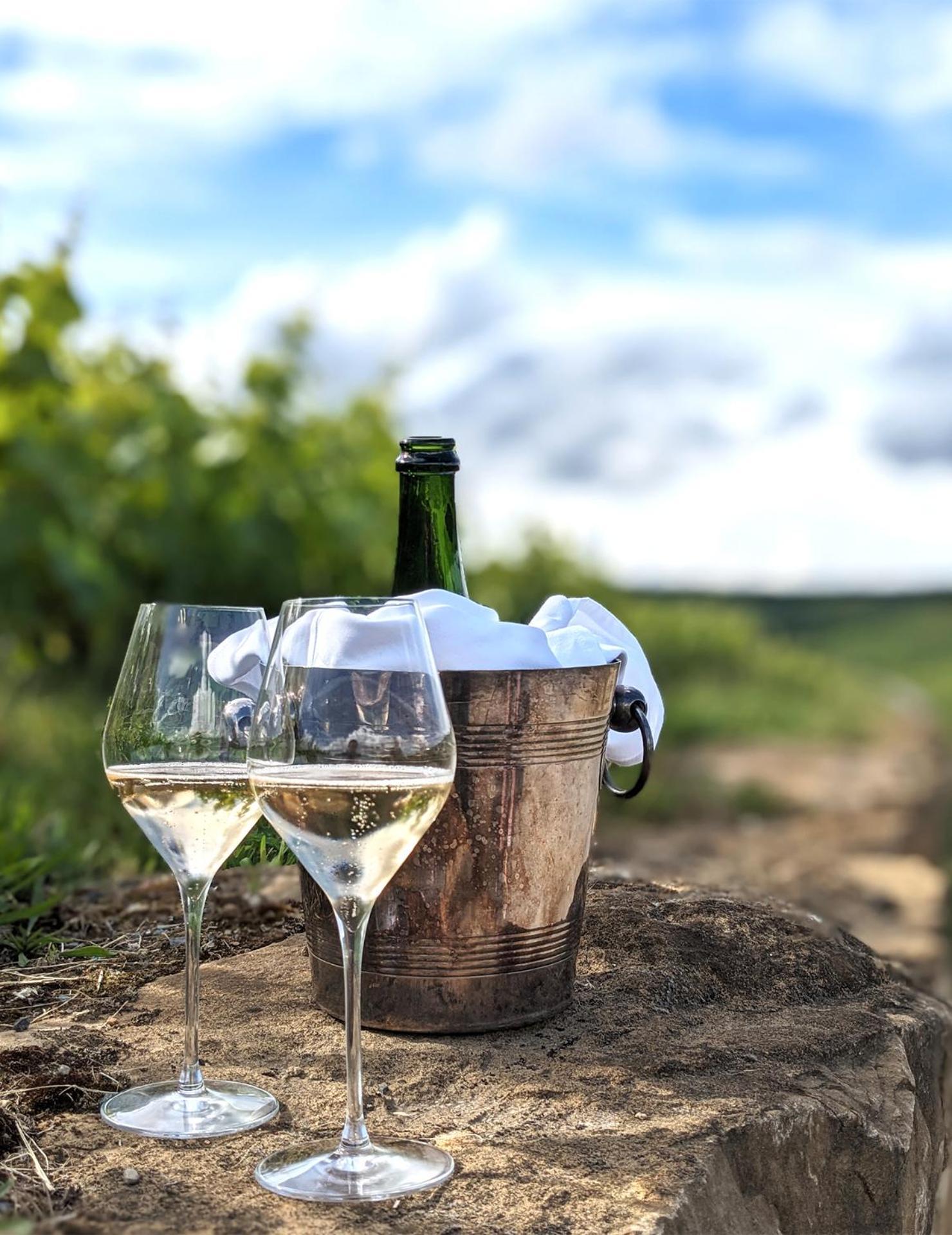 Maison A Deux Mains Ay-Champagne Ngoại thất bức ảnh